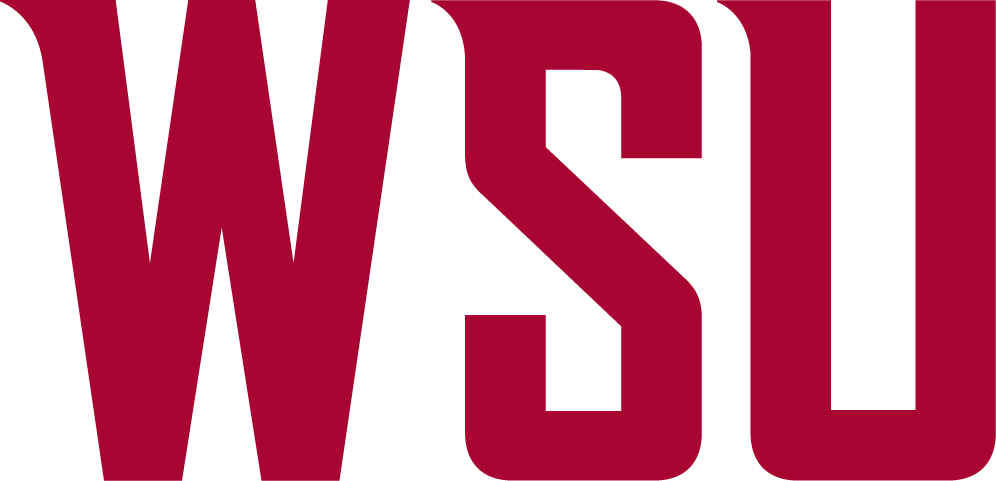 Washington State Cougars 2011-Pres Wordmark Logo v2 diy iron on heat transfer